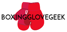 boxingglovegeek.com